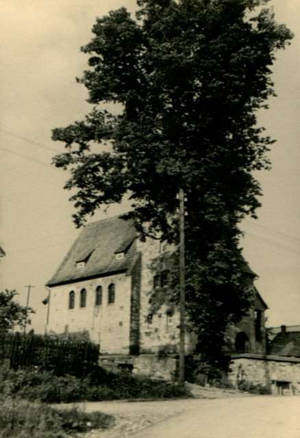 450 Jahre alte Kirchenlinde
