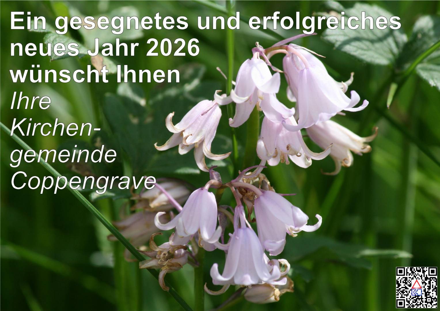 Ein gesegnetes neues Jahr