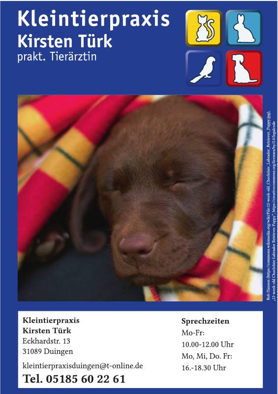 Gemeindebrief März - Mai 2026