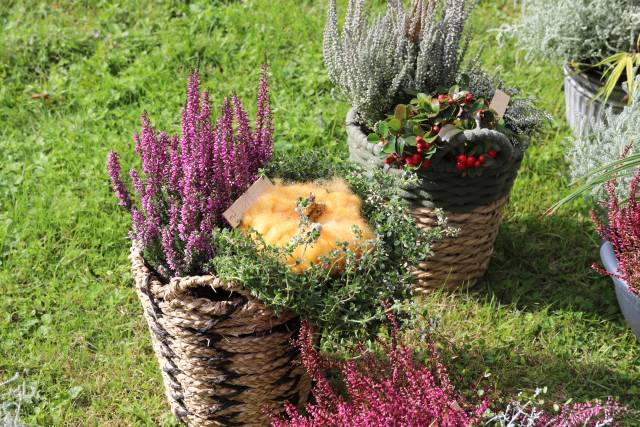 100 Jahre Friedhof Coppengrave